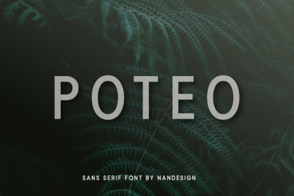 Poteo: A Smooth Sans Serif Font for Designers and Professionals